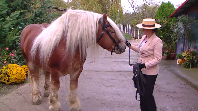 Fata cu trei facultăți, refugiată la țară. Natalia este driver de atelaje și participă la concursuri cu trăsuri de cai