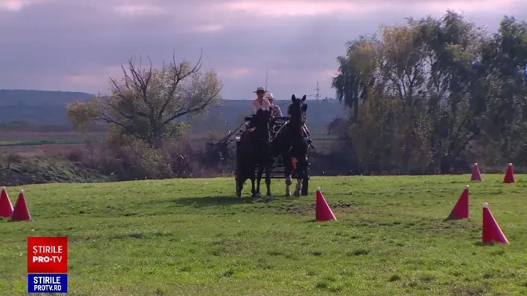 Fata cu trei facultăți, refugiată la țară. Natalia este driver de atelaje și participă la concursuri cu trăsuri de cai