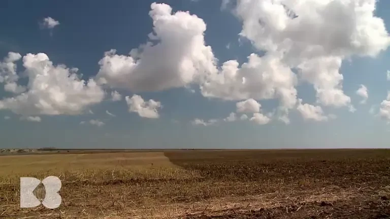 Vitamina D, un hormon vital produs de sistemul imunitar în timpul infecțiilor