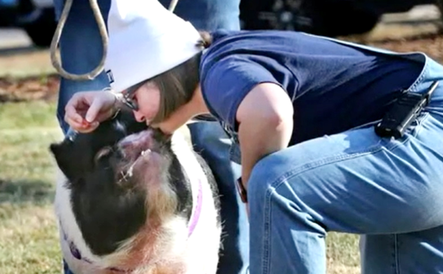 Directoarea unei școli din SUA a pupat un porc pe rât, după un pariu pierdut cu elevii. Imaginile au devenit virale