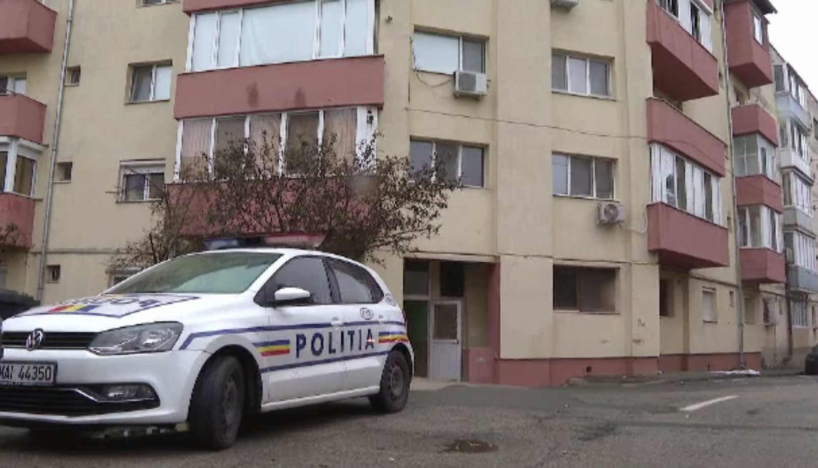 Pisicile au salvat-o de la moarte. Tânăra din Timișoara ar fi murit intoxicată în pat. „Sunt eroinele familiei”
