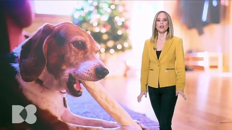 LDL versus HDL. Ce rol joacă colesterolul în alimentație