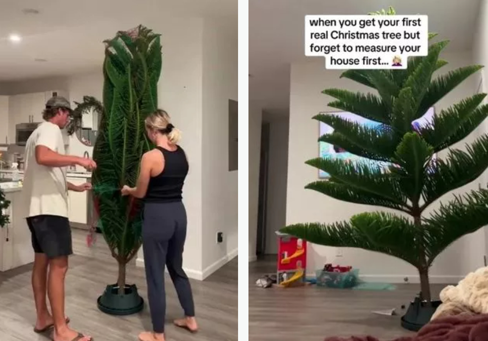 O femeie a crezut că a cumpărat bradul perfect pentru Crăciun, dar a avut un șoc atunci a văzut ce este de fapt. VIDEO viral