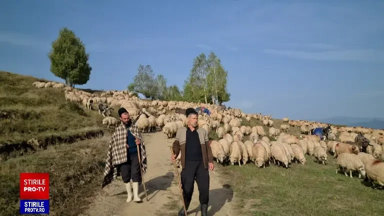 România obține o victorie culturală majoră: Transhumanța, patrimoniu UNESCO
