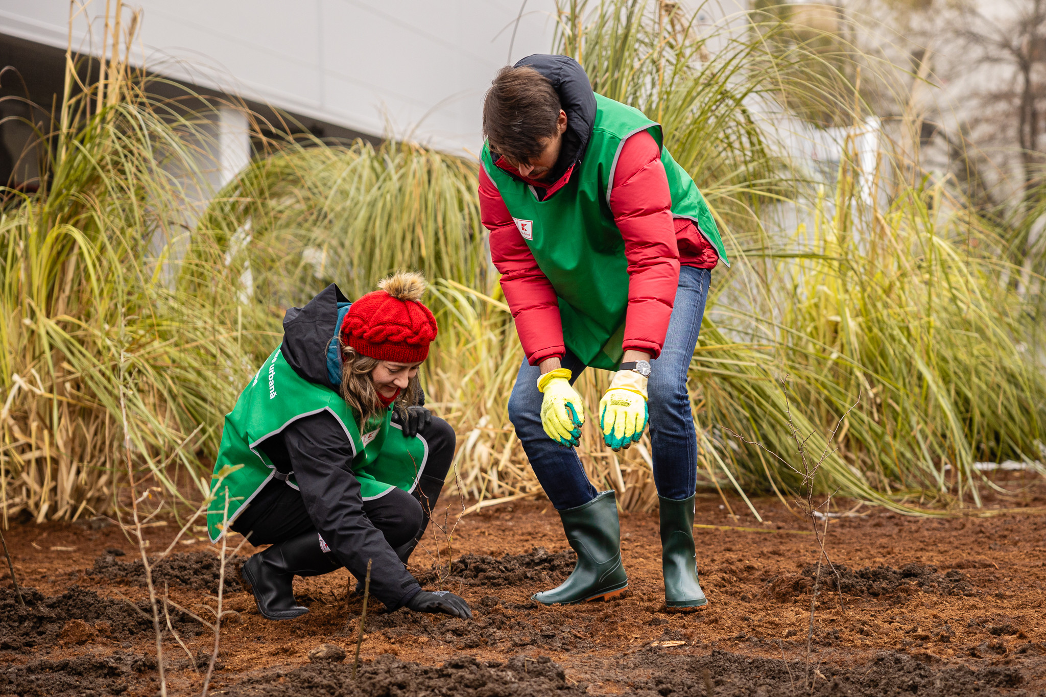 (P) Kaufland plantează mini-păduri urbane în parcarea magazinelor