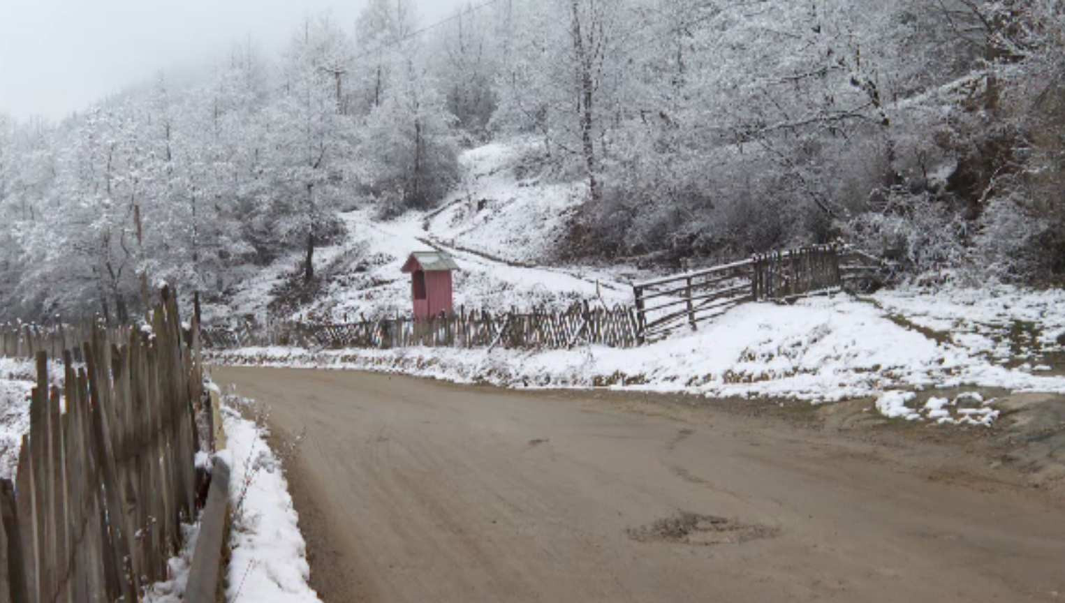 Locul din România unde oamenii trăiesc neobișnuit de mult. Secretul lui nea Gică, neobosit la 101 ani