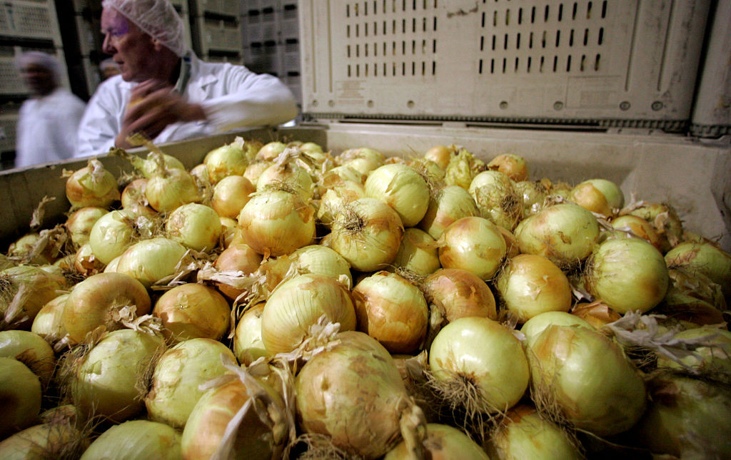 Veste usturătoare: e criză de ceapă la nivel mondial. Producția din România, grav afectată