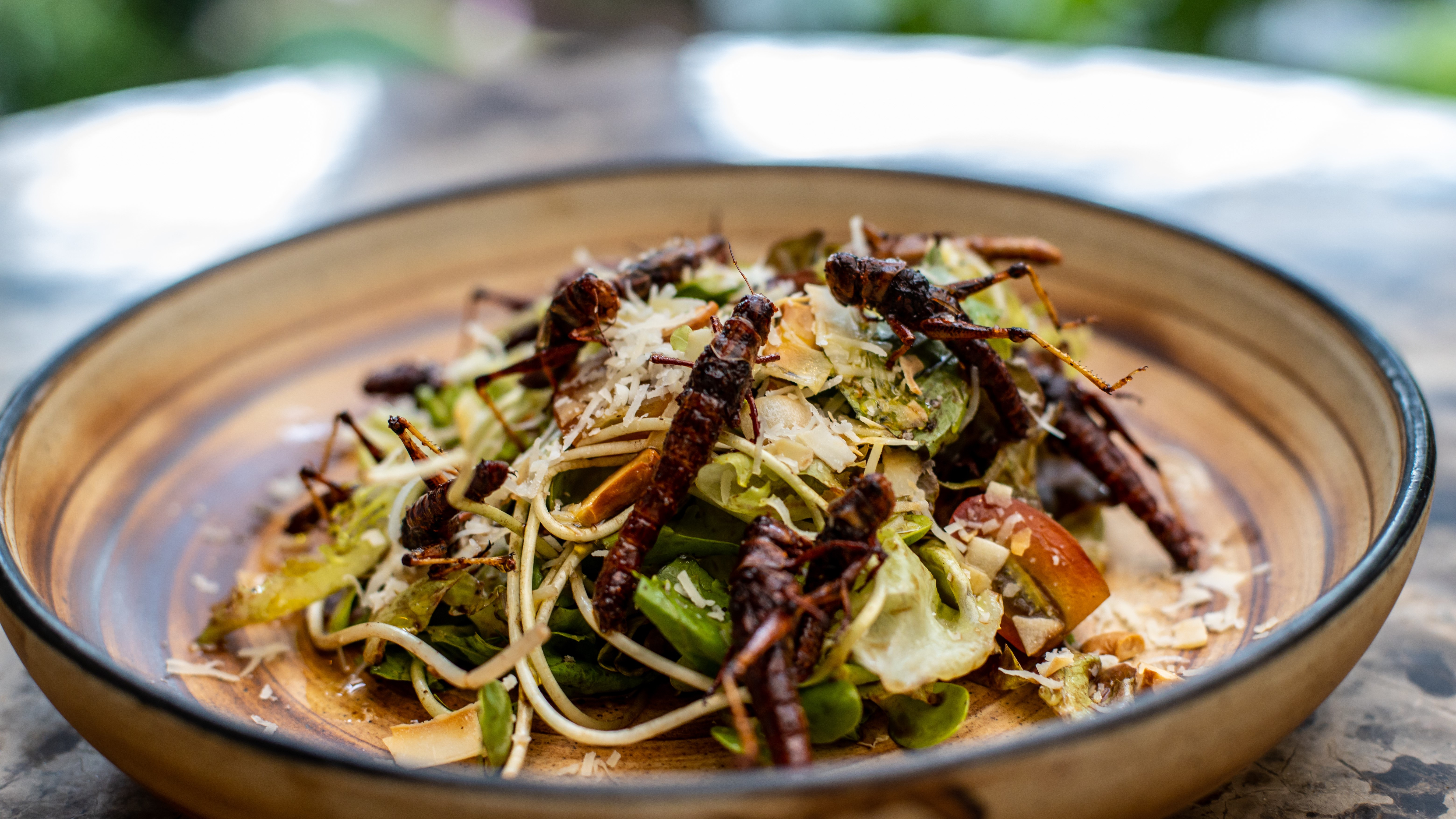 Doi antreprenori au creat o afacere profitabilă cu hrană din greieri. “Teoriile conspiraționiste nu ne ajută deloc"