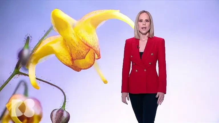 Atenție la simptomele ascunse. Cum ne impactează excesul alimentar organul vital numit pancreas