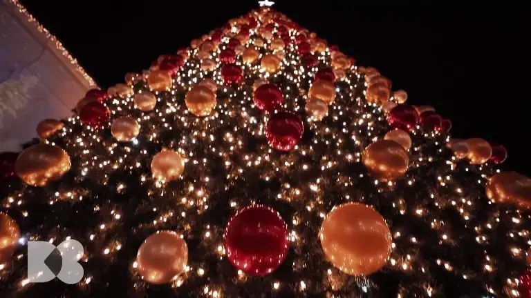 Trăim cu puțină mâncare. Organismul uman, cel mai bun în economisirea energiei