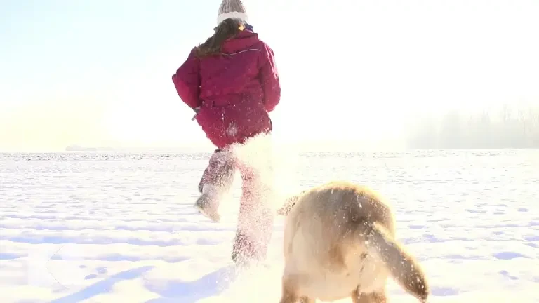 Mâncați inteligent înainte și după sport. Misterul carbohidraților cu absorbție lentă, dezvăluit