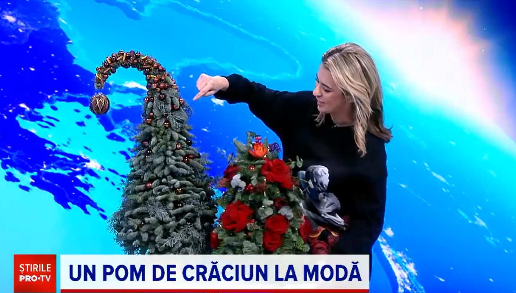 Bradul „excentric” recomandat de Andra Marinescu, arhitect „Visuri la cheie"