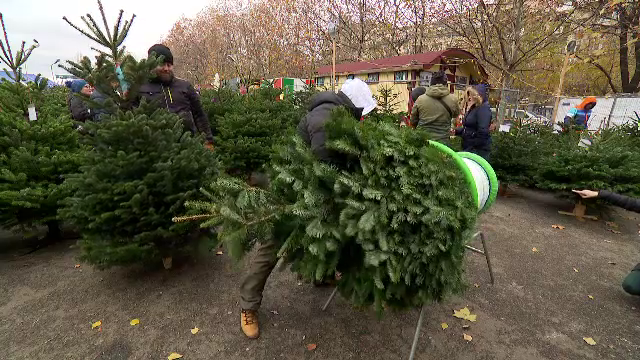 Cum a apărut tradiția pomului de Crăciun și ce se îmbodobea înainte de brad