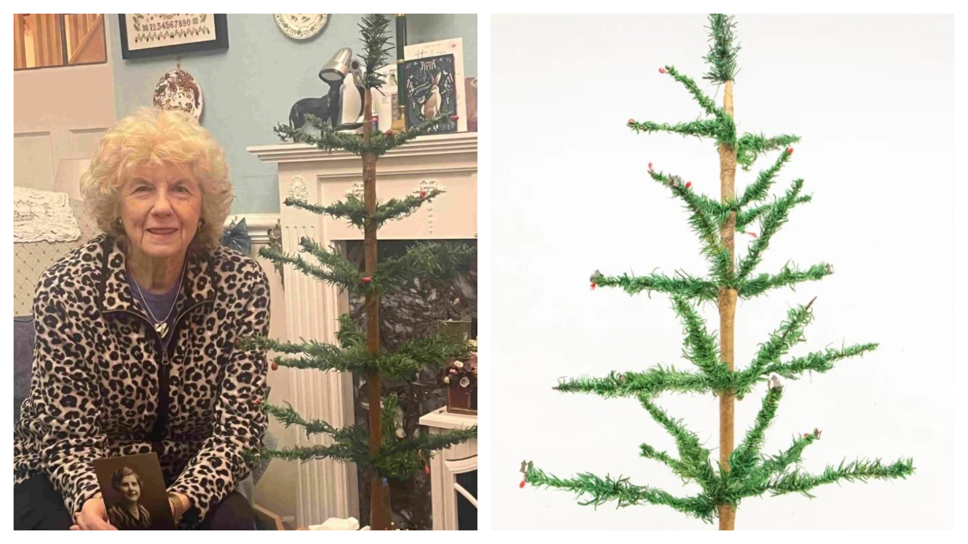 Un brad de Crăciun vechi de peste un secol a fost vândut la licitație. Câți bani s-au obținut