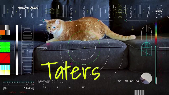 Cum a ajuns o pisică să facă parte din noul experiment al NASA. Secvențele au „călătorit” 30 de milioane de kilometri