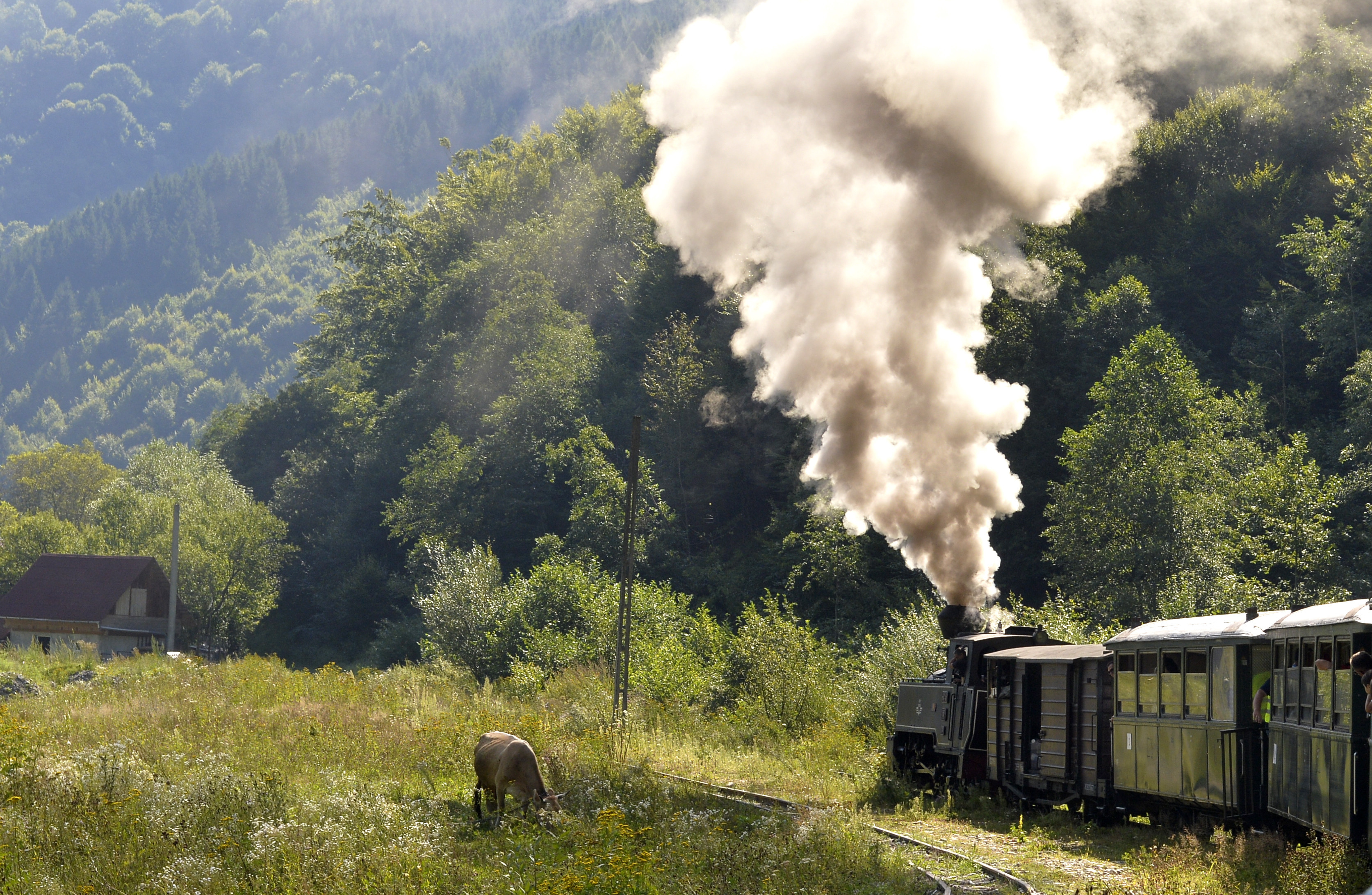 Trenul Mocănița va avea un program special de sărbători. Cât costă un bilet