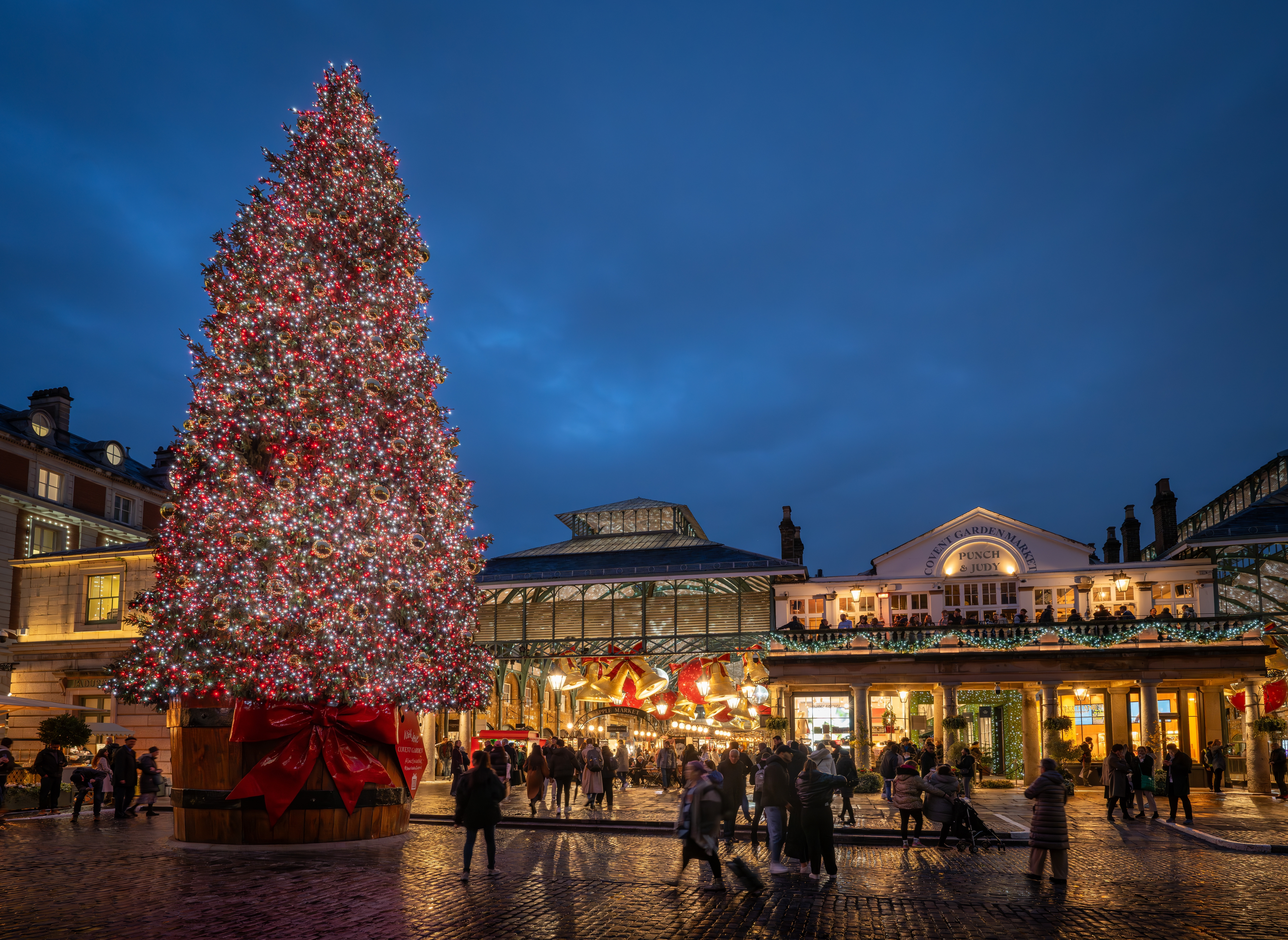 Cei mai frumosi brazi de craciun