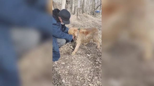 Un câine a fost salvat de sub dărâmături, la câteva zile de la cutremurul din China. A zăcut 30 de ore imobilizat