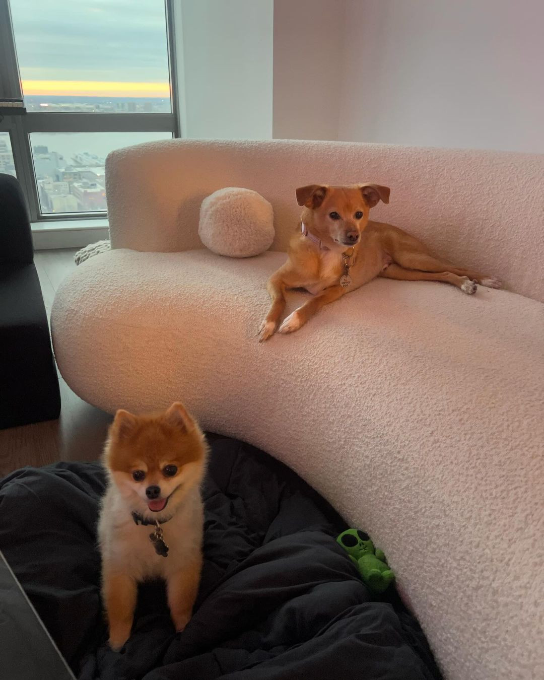 Ariana Grande și-a ornat bradul de Crăciun cu o decorațiune care face referire la iubitul ei Ethan Slater. GALERIE FOTO