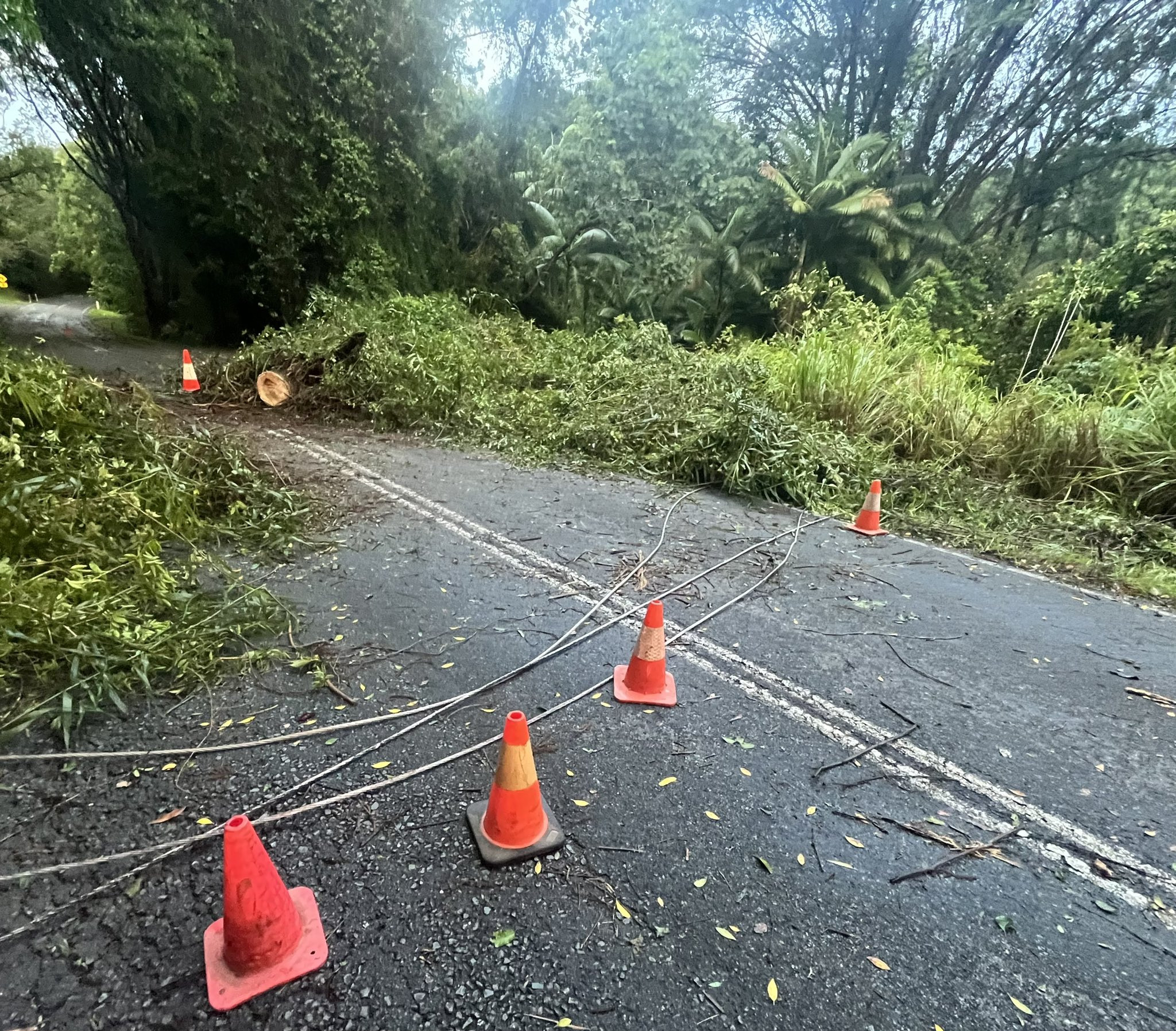Furtuna a făcut prăpăd în Australia. O persoană a murit și 120.000 de locuinţe au rămas fără curent de Crăciun. FOTO & VIDEO