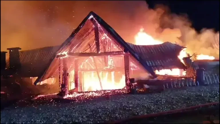 Incendiu de proporții la Ferma Dacilor din Tohani, Prahova. Un copil și un adult au murit. Sunt câțiva dispăruți