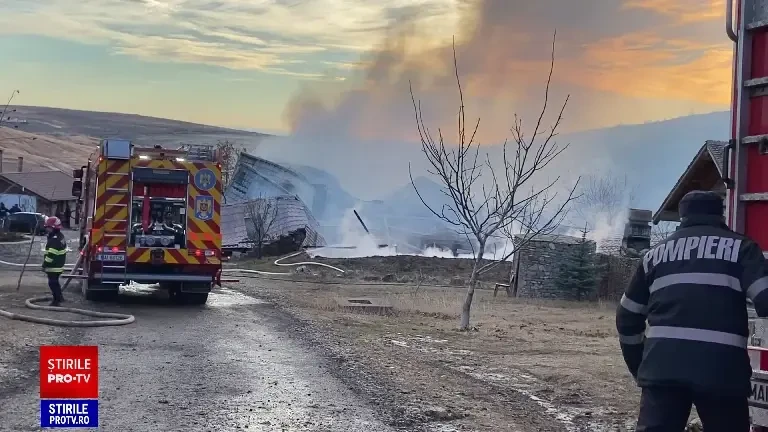 Incendiu uriaș la Ferma Dacilor din Tohani, Prahova