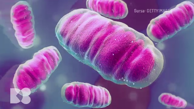 Prea multă mâncare poate produce inflamație cronică în organele vitale. Sfaturi vitale de la medici