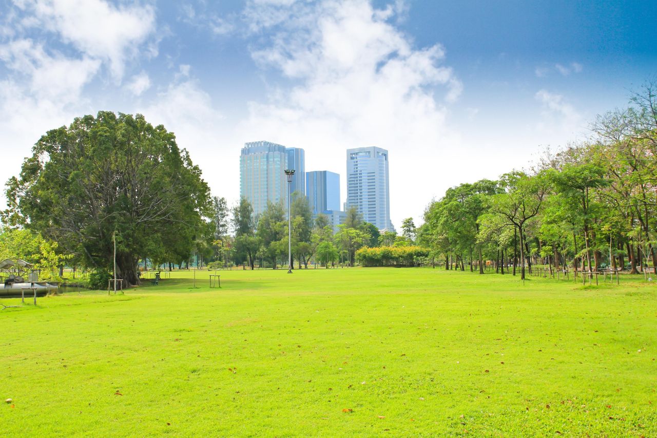 Acoperișurile verzi și parcările sustenabile devin obligatorii din 2027. Codul Urbanismului: 50% suprafață verde