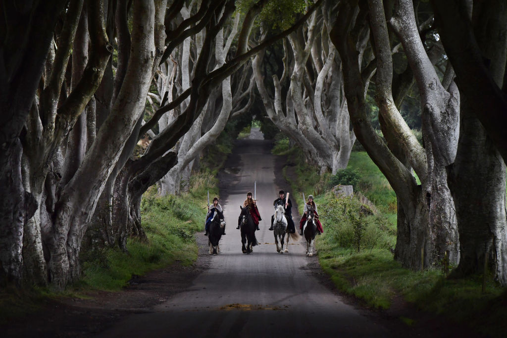 Copacii din Irlanda de Nord, celebri datorită serialului „Game of Thrones”, ar putea dispărea în 15 ani
