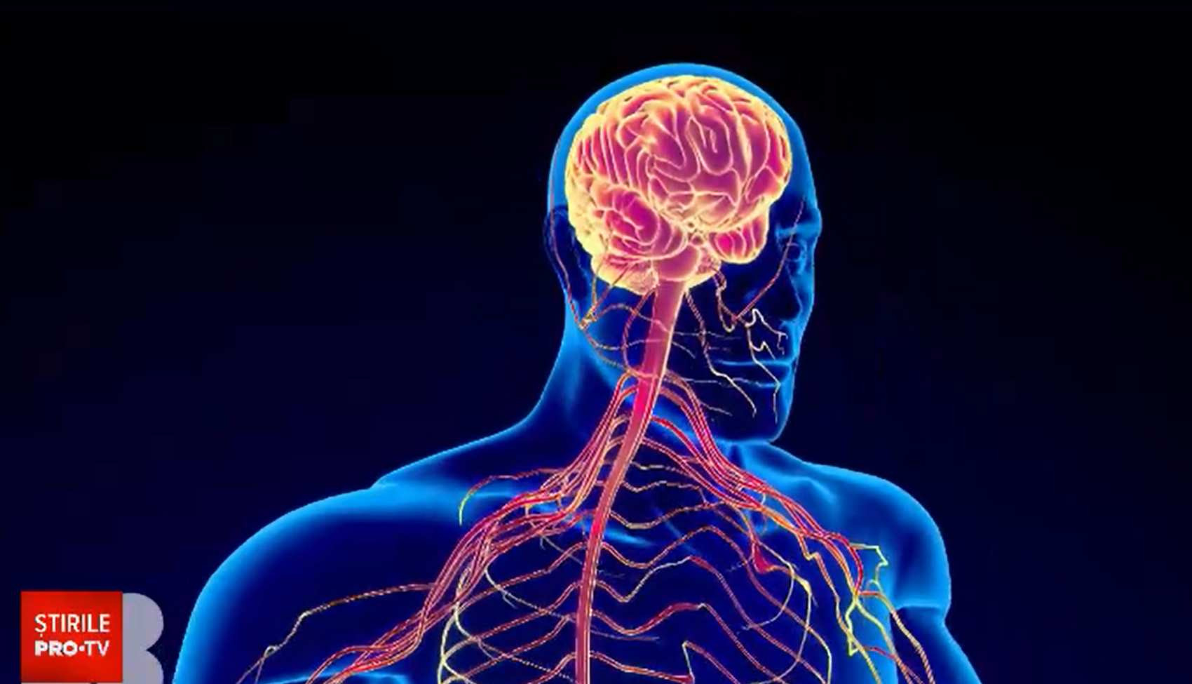 Mineralele vitale. De ce sunt esențiale pentru susținerea vieții și unde le găsim în alimentație