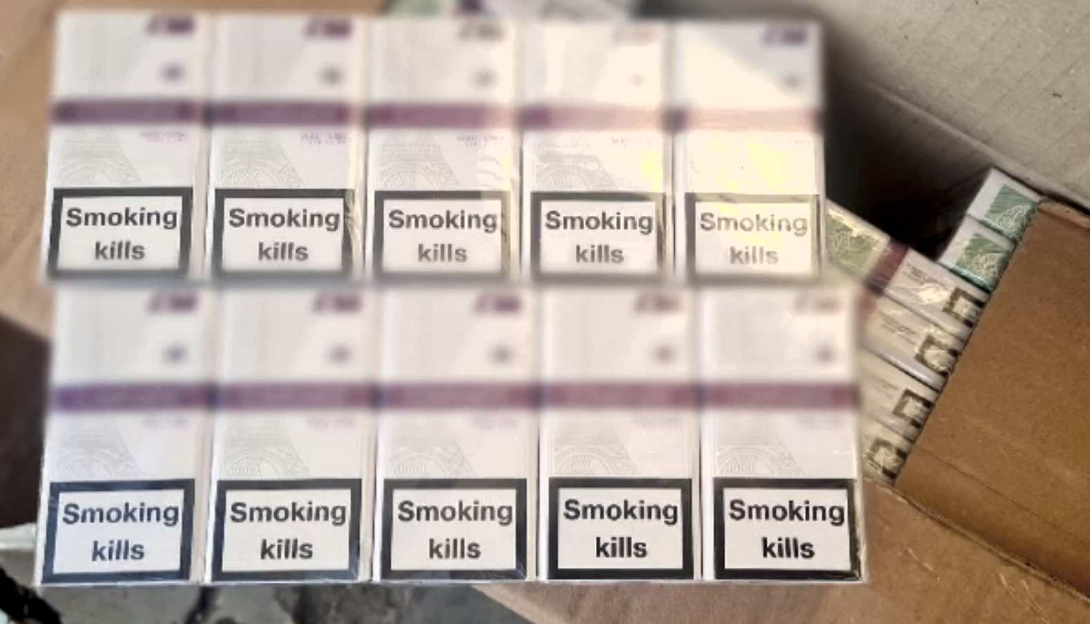 Lovitură de 1,5 milioane de euro în Portul Constanța. Ce au descoperit polițiștii într-un container