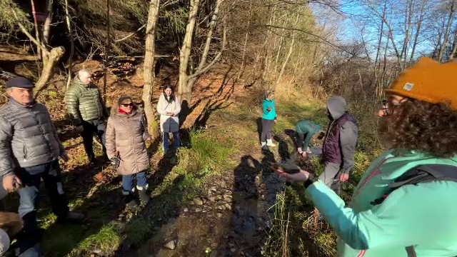 Ce este conceptul de „forest bathing”. „O reconectare la inocența copilăriei”. Doar cazarea costă 200 de euro pe noapte