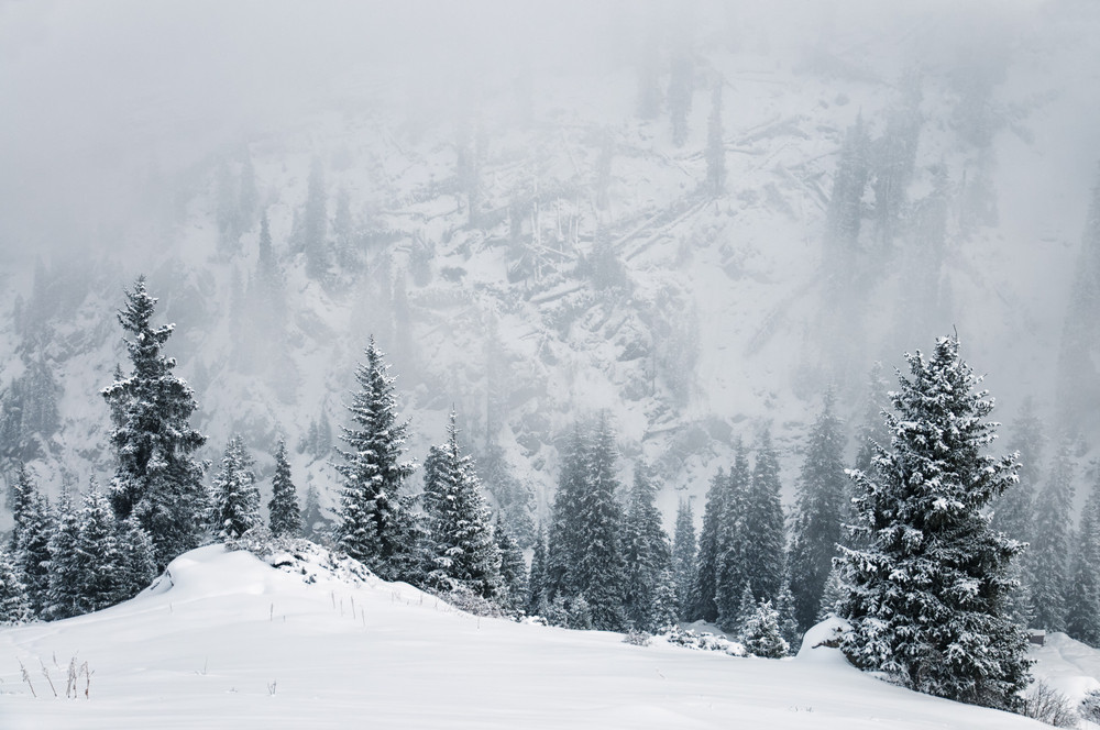 Cum se formează fulgii de zăpadă. Există 35 de tipuri diferite