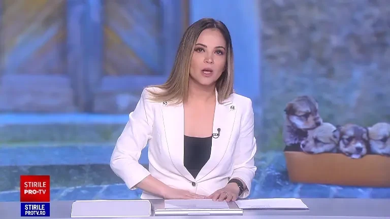 Cuplu căutat de poliție după ce a abandonat nouă căței în fața unui magazin din Brașov. ”Ce fel de om o fi ăsta?”