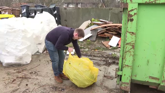 „Nu îi mai aruncăm la voia întâmplării și cât de cât îi colectăm undeva.” Ce facem cu brazii de Crăciun după sărbători