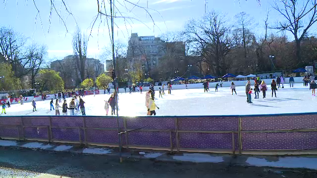 În loc de ger, am avut 18 grade de Bobotează. Fluctuaţiile de temperatură derutează plantele şi ajută dăunătorii