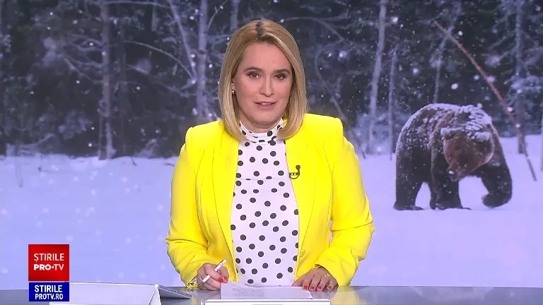 Urși filmați când se joacă în zăpadă, în rezervația de la Zărnești