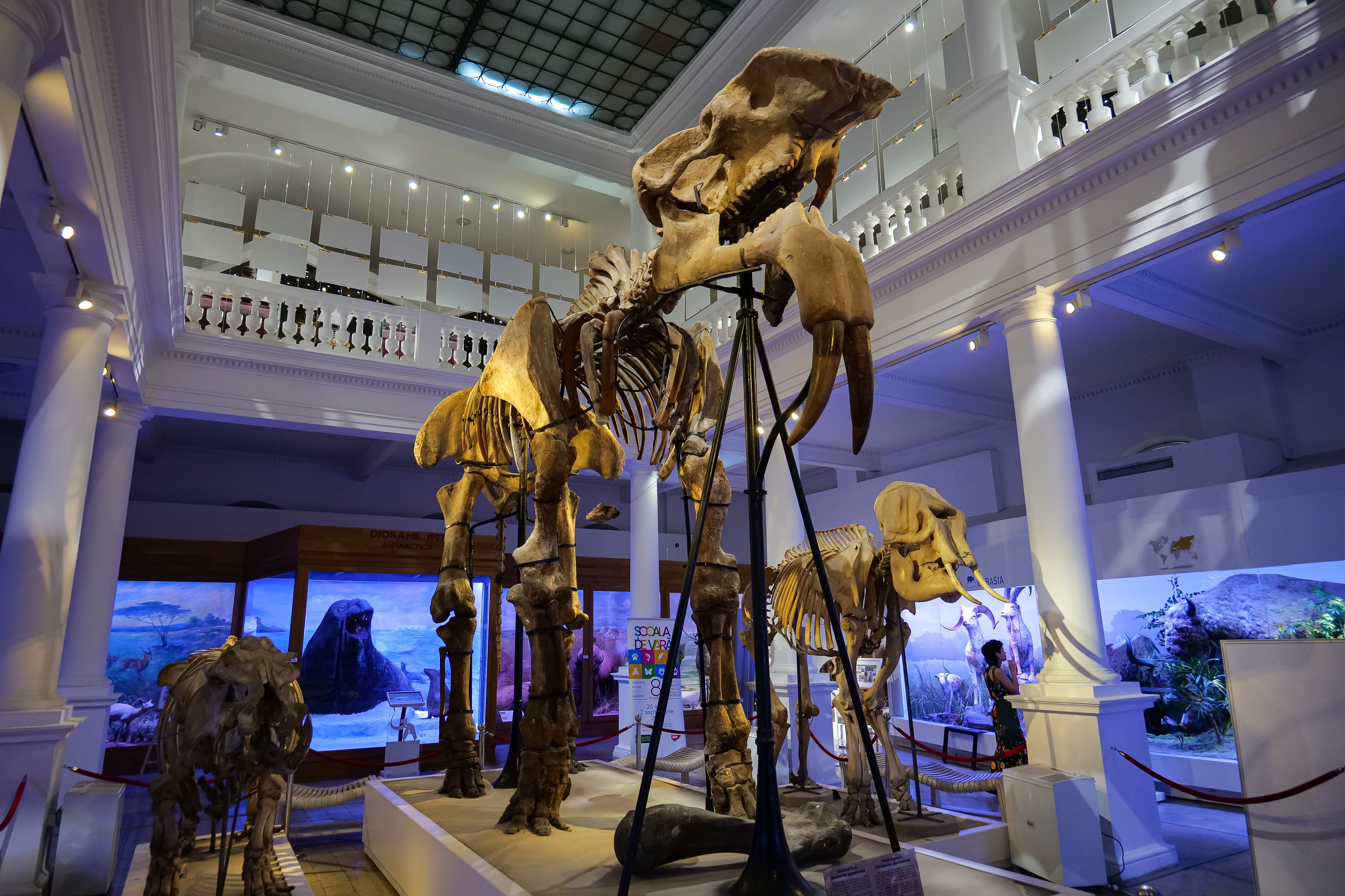 Lista muzeelor care vor avea intrare liberă luni, 15 ianuarie, de Ziua Națională a Culturii