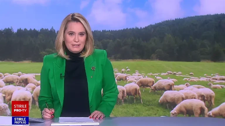 Miei grași cât berbecii. Când trebuie sacrificați pentru masa de Paște