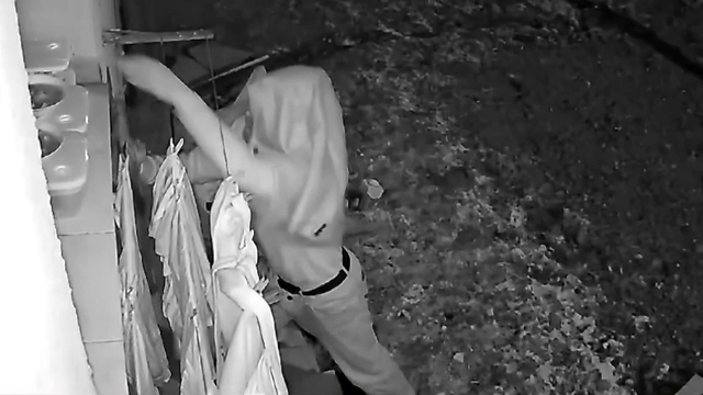 Hoțul de piftie din Drobeta Turnu Severin. O femeie și-a pus mâncarea pe pervazul geamului și a rămas fără ea