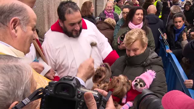 Țara în care oamenii își duc animalele de companie la biserică. Este o tradiție catolică veche din secolul al XIX-le