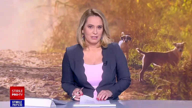 Stăpânii care nu strâng excrementele câinilor de pe stradă vor fi identificați cu ajutorul ADN-ului animalelor