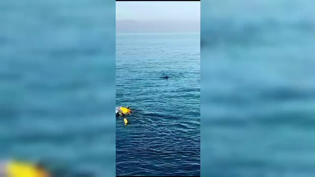 La un pas de tragedie. Un bărbat beat a fost salvat de un salvamar după ce s-a aruncat în mare