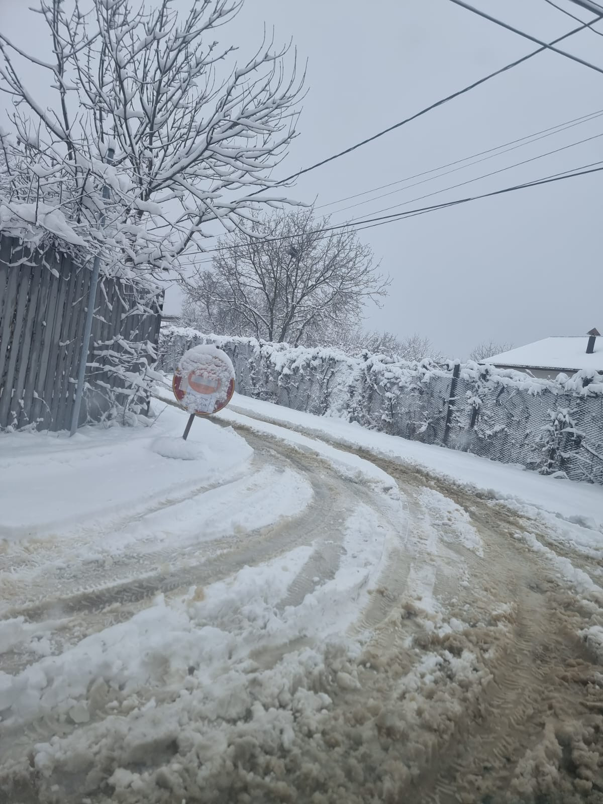 strada Austrului, Mogosoaia