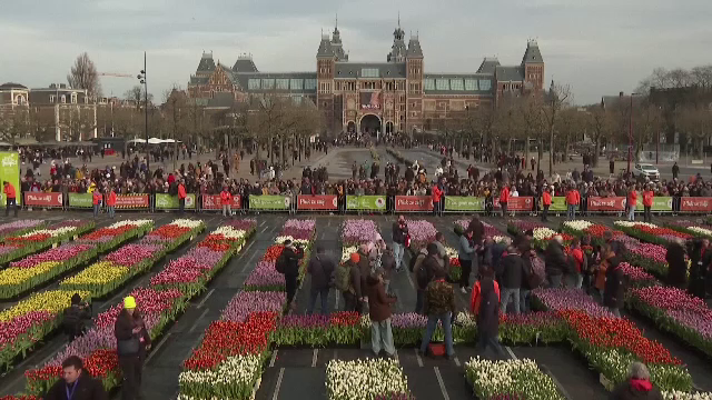 Cum au sărbătorit olandezii Ziua Națională a lalelelor