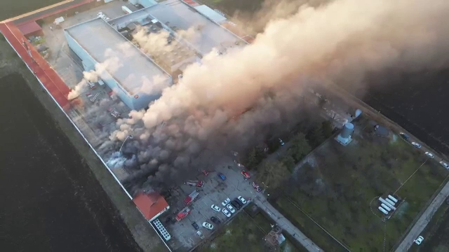 „Eram în birouri și deodată am văzut fum”. Incendiu de proporții la depozitul unei fabrici patiserie din județul Timiș