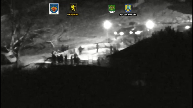 Polițiștii au descoperit în Moldova un campionat ilegal de lupte de câini. Zeci de persoane au fost săltate