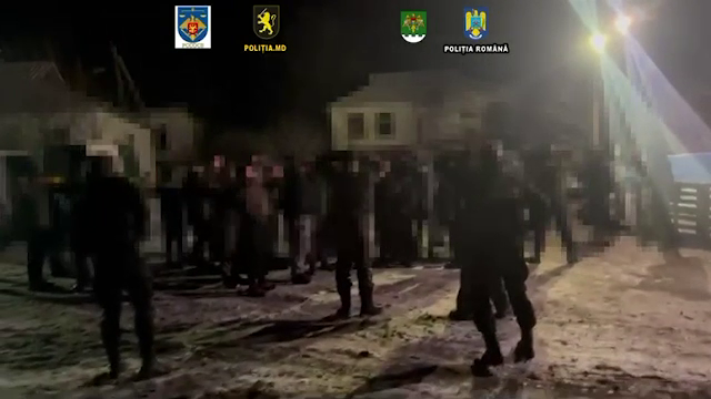 Descoperire șocantă în România după ce Poliția a oprit un campionat ilegal de lupte de câini în Republica Moldova