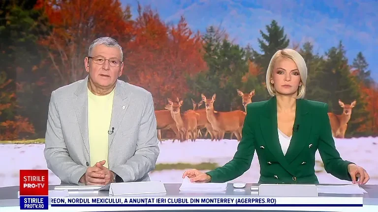 Animalele sălbatice primesc hrană de la angajații ocoalelor silvice pentru a trece mai ușor peste perioada geroasă