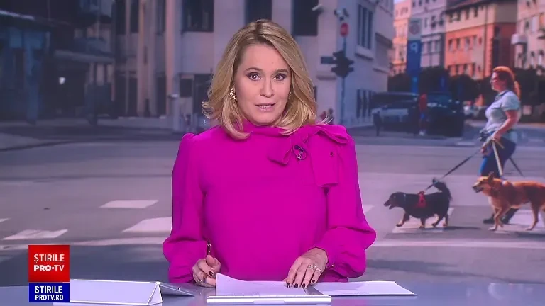 Câți bani poți să câștigi dacă plimbi câinii altora. Un american încasează anual o sumă uriașă